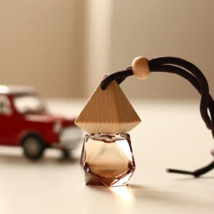 Car Diffuser - Mango & Pineapple